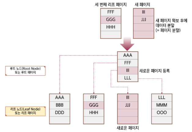 분할 2